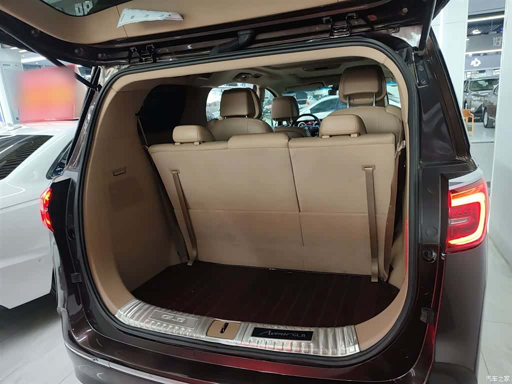 Buick GL8, 2021 19