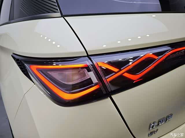 BYD Dolphin, 2024 12