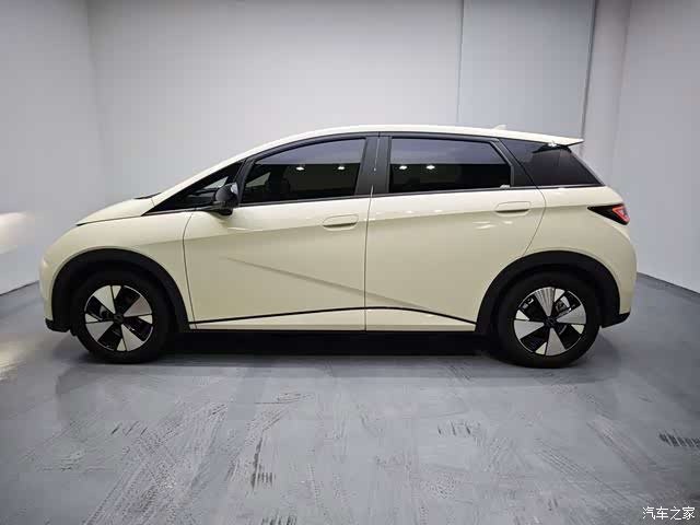 BYD Dolphin, 2024 7