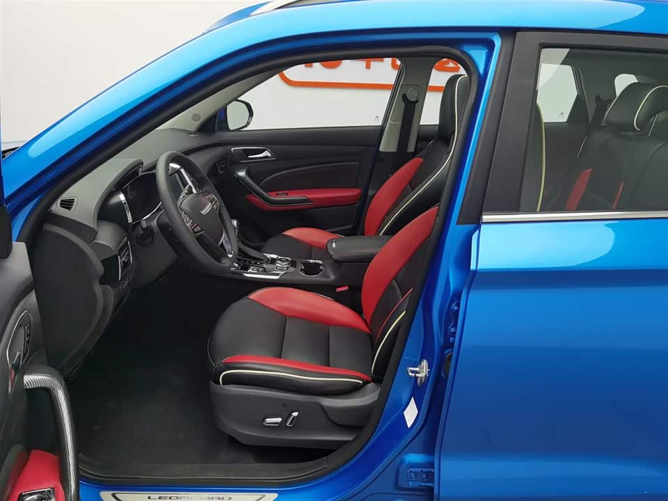 Leopaard Cheetah CS9