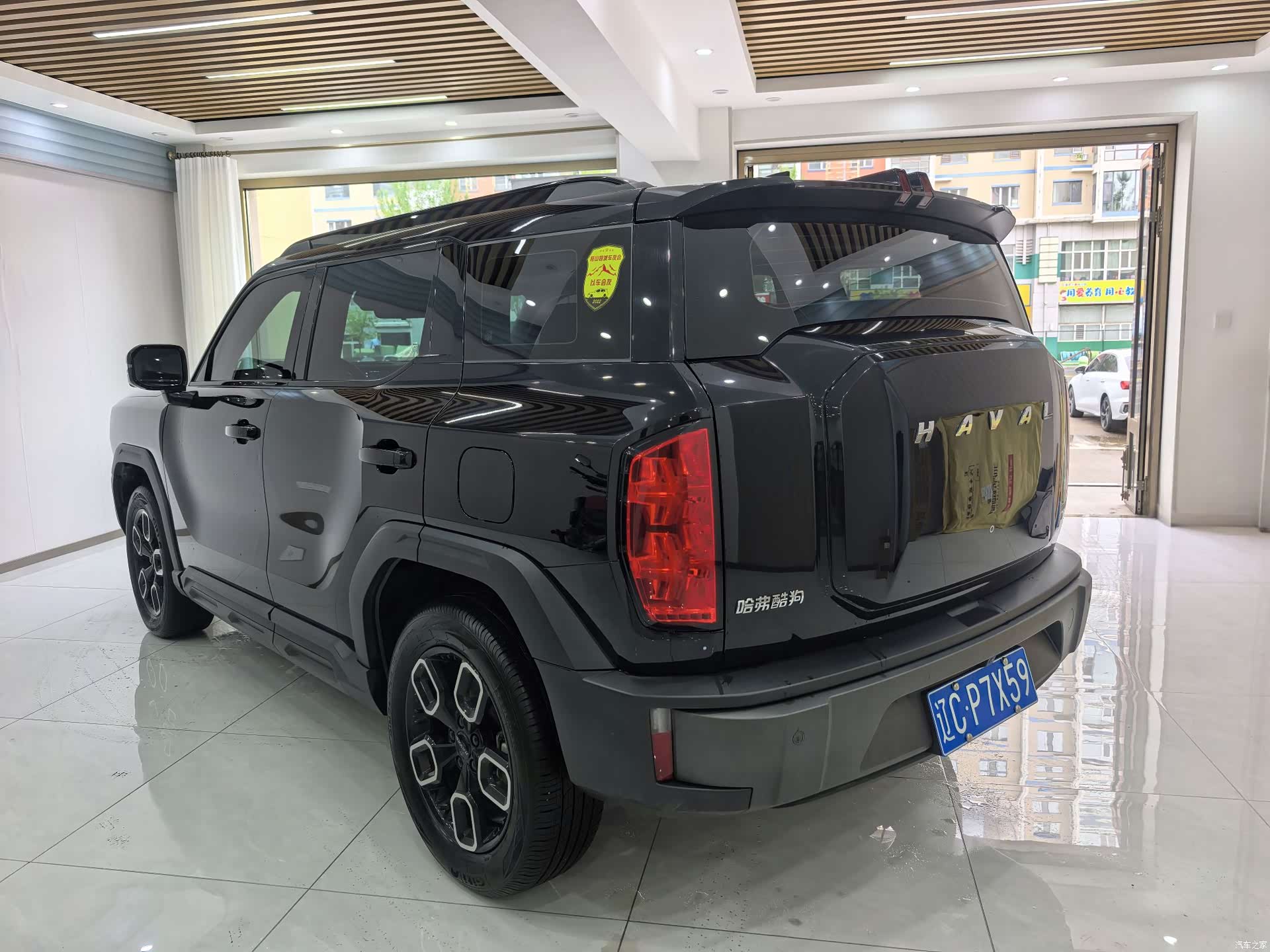 Haval Cool Dog, 2023 4