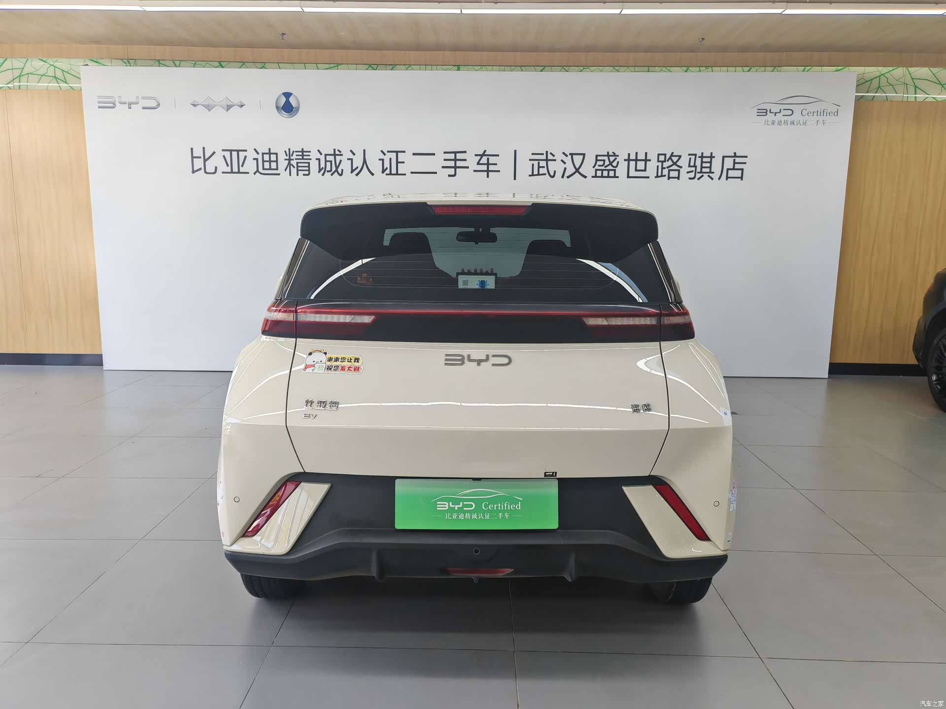 BYD Seagull, 2024 все фото