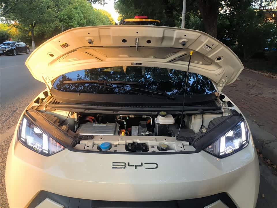 BYD Seagull