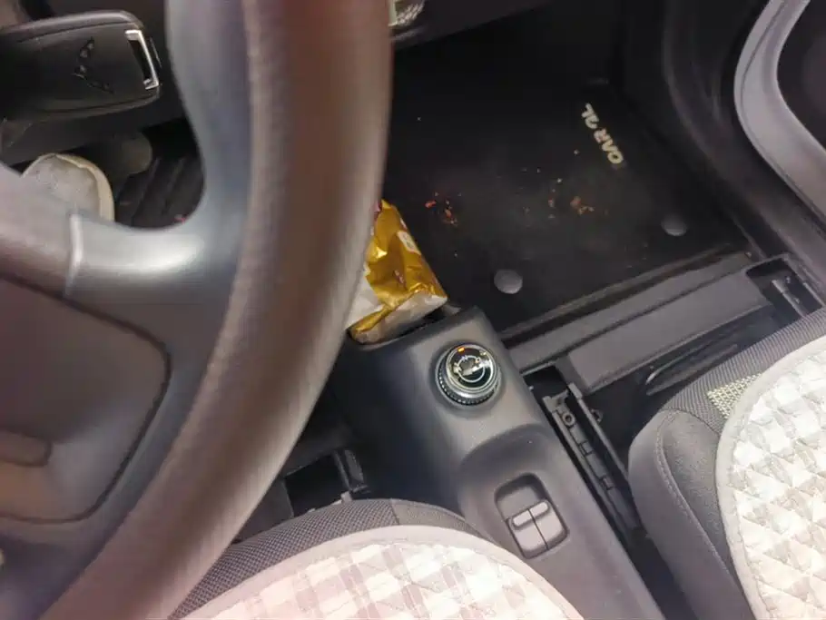 Wuling Wuling Zhiguang