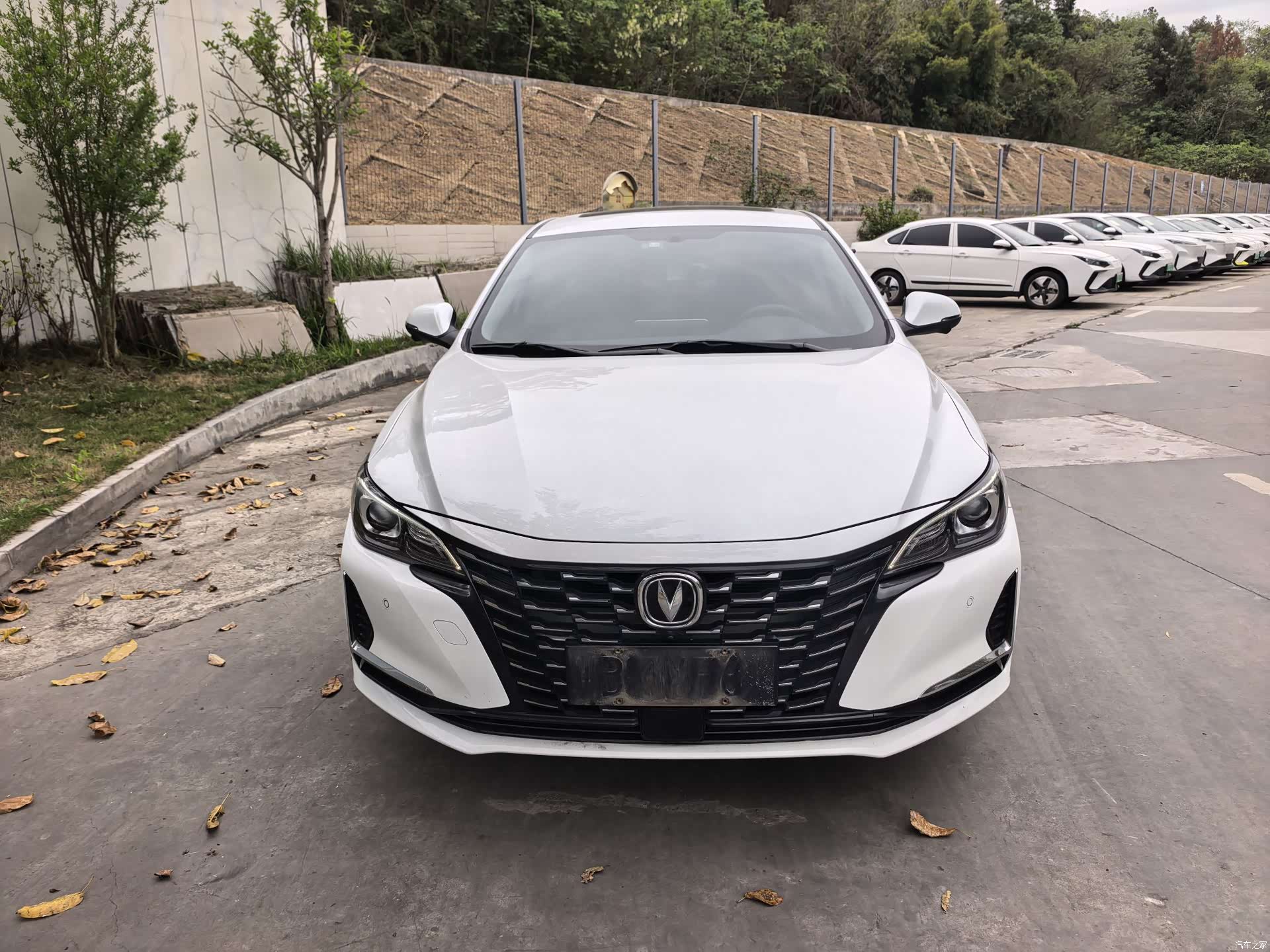 Changan CC, 2022 2