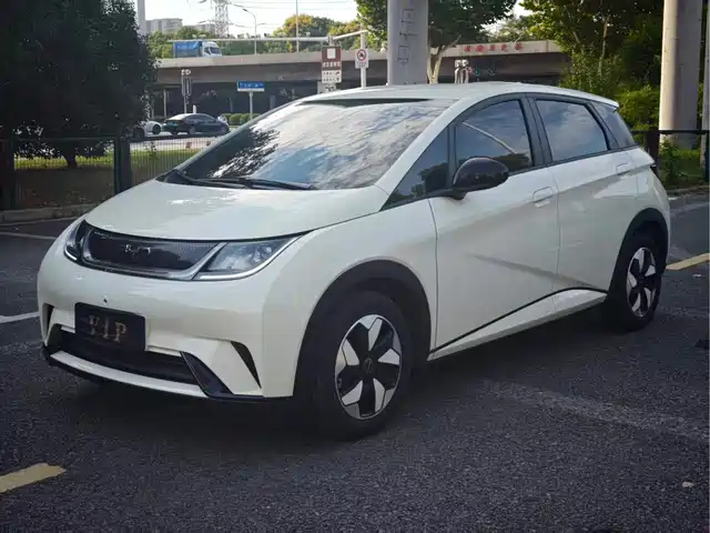 BYD Dolphin 2025 — купить из Китая под заказ