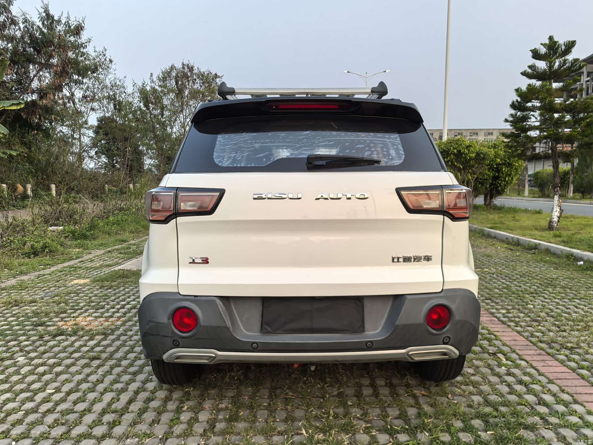Bisu T3, 2017 8