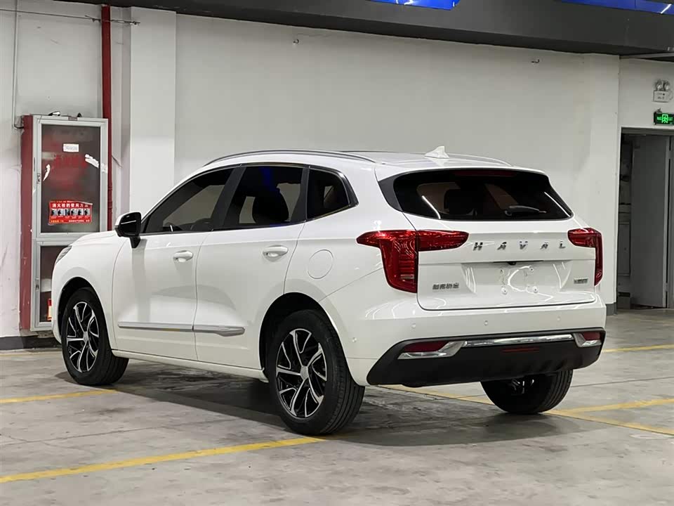 Haval First love