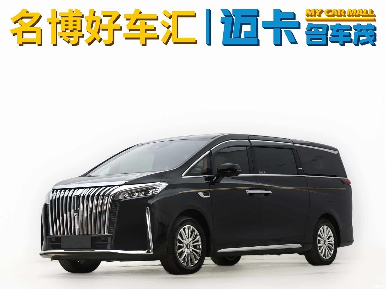WEY Gaoshan, 2024 1
