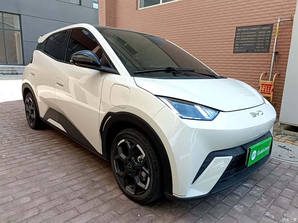 BYD Seagull, 2024 4