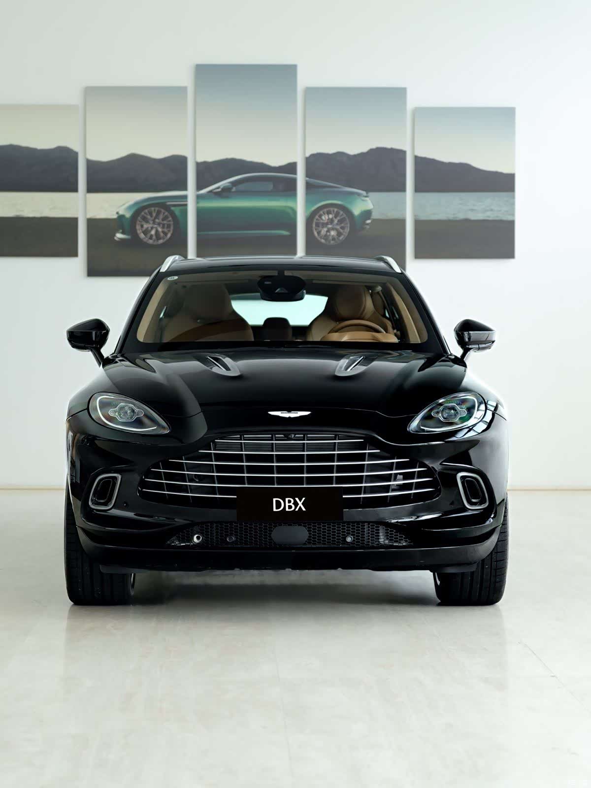 Aston Martin DBX, 1900 2