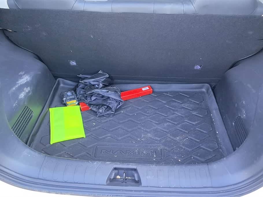 Dongfeng Nammi Nano 01