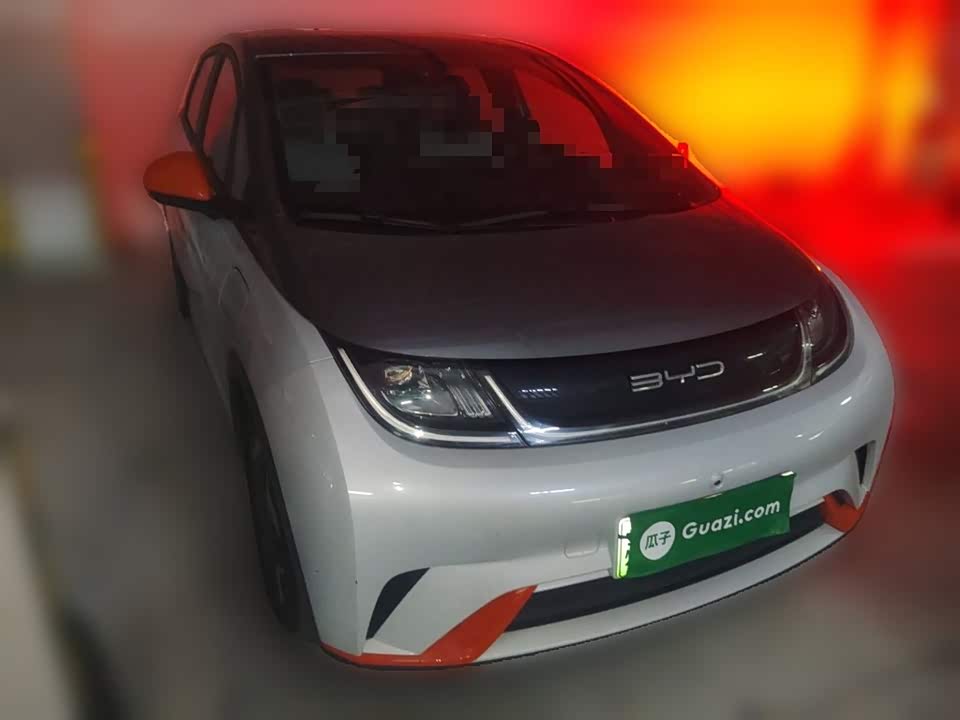 BYD dolphin