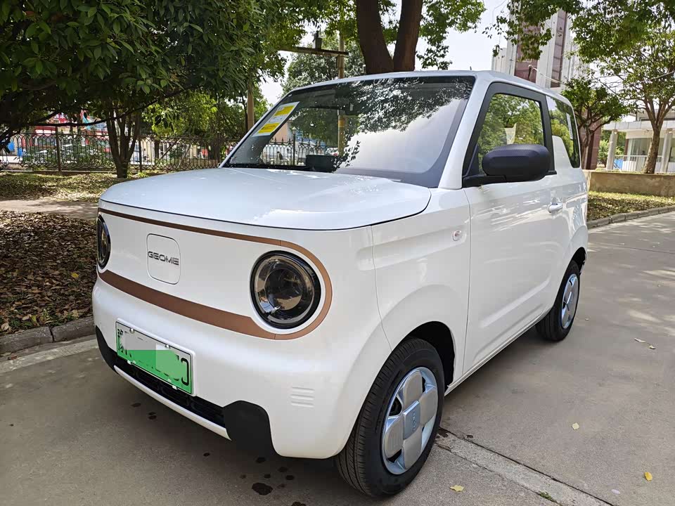 Geely Galaxy panda