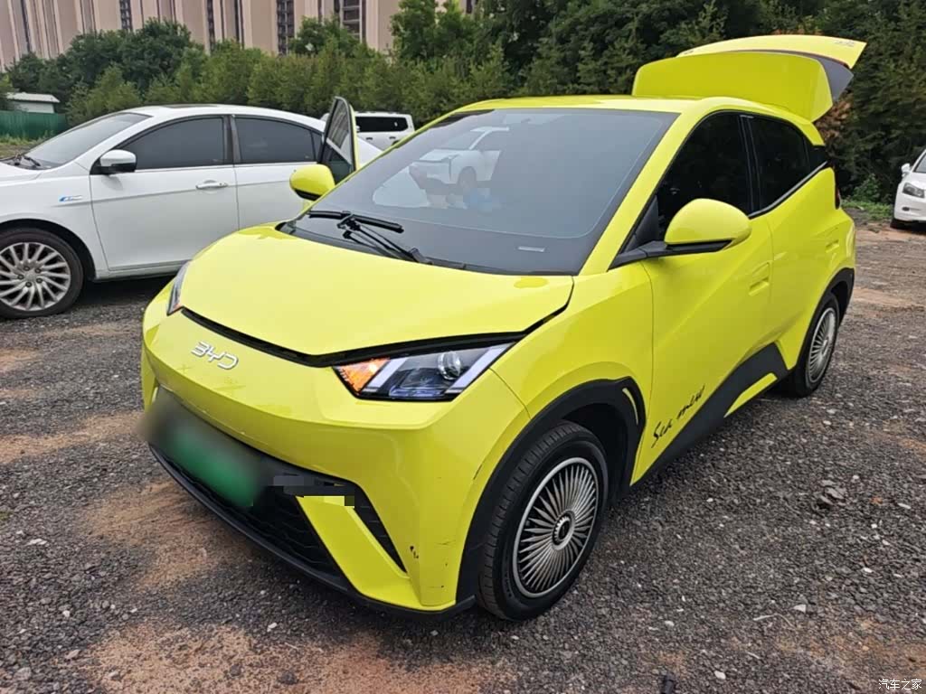 BYD Seagull, 2024 1
