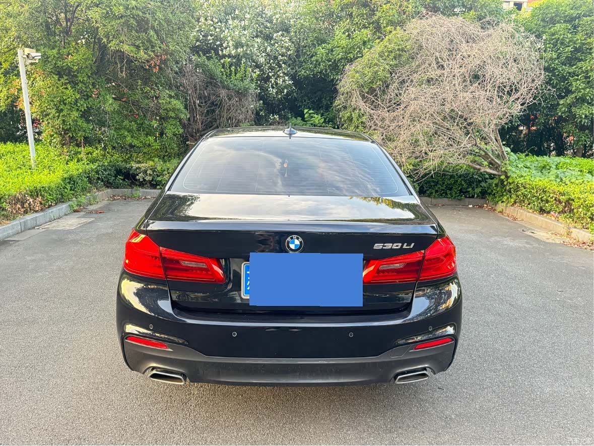 BMW 5 Series, 2019 все фото