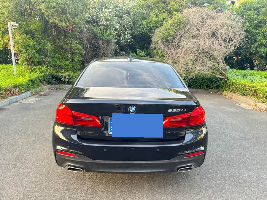 BMW 5 Series 2019, фото 5