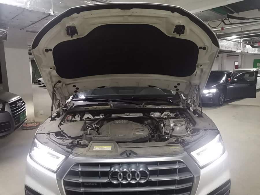Audi Q5L 2019, фото 16