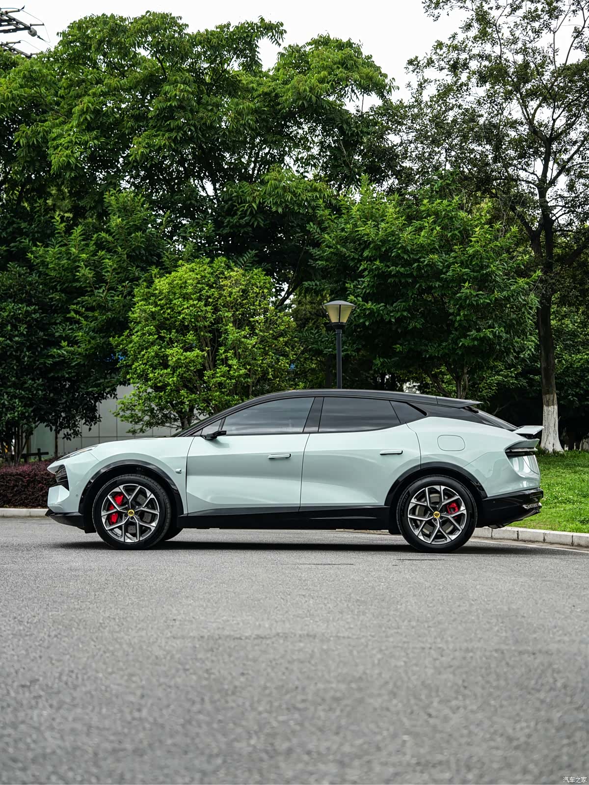 Lotus FOR, 2026 3
