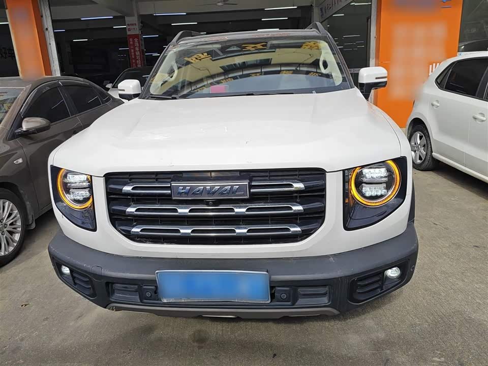 Haval Big dog