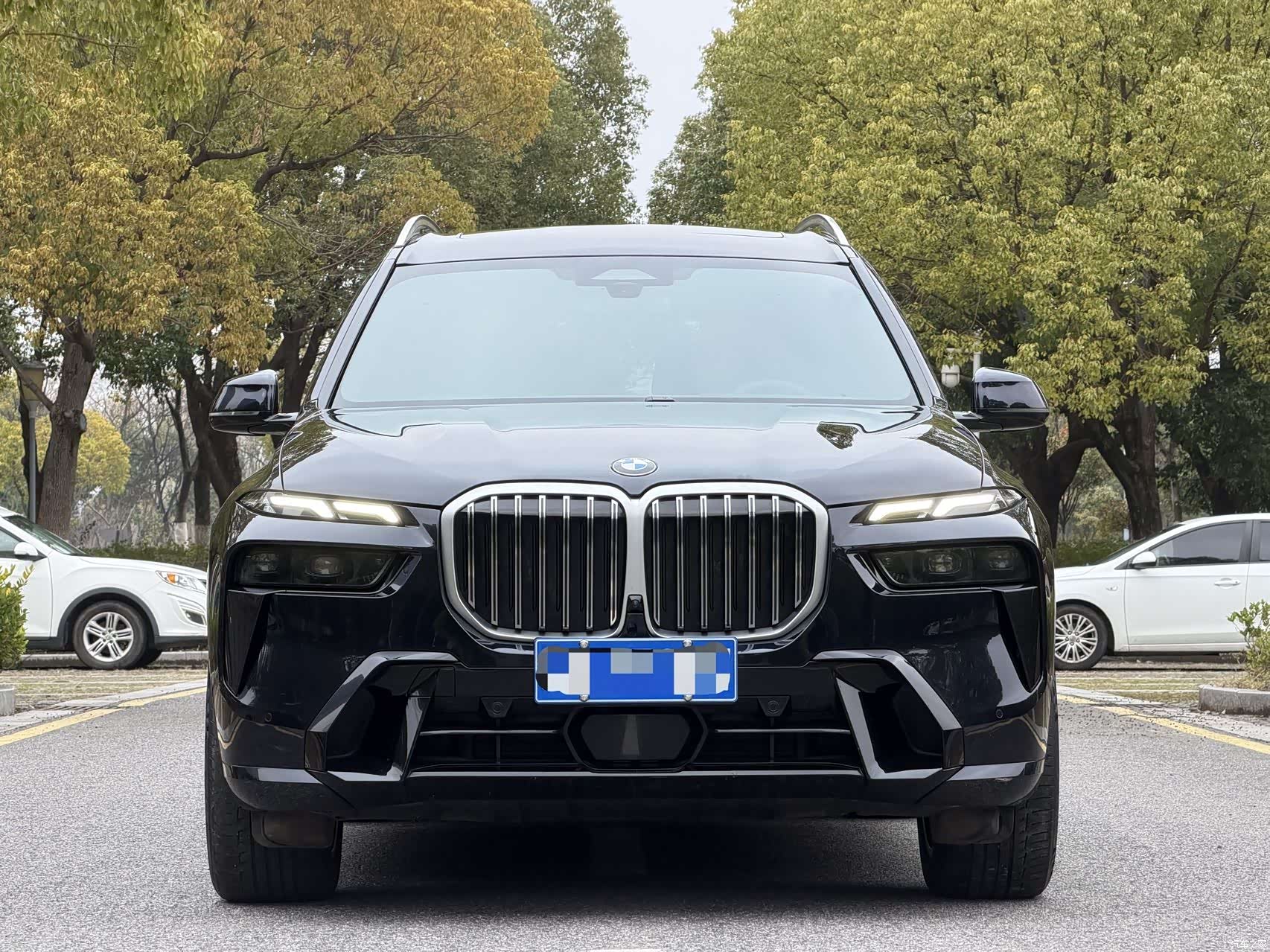 BMW X7, 2024 2