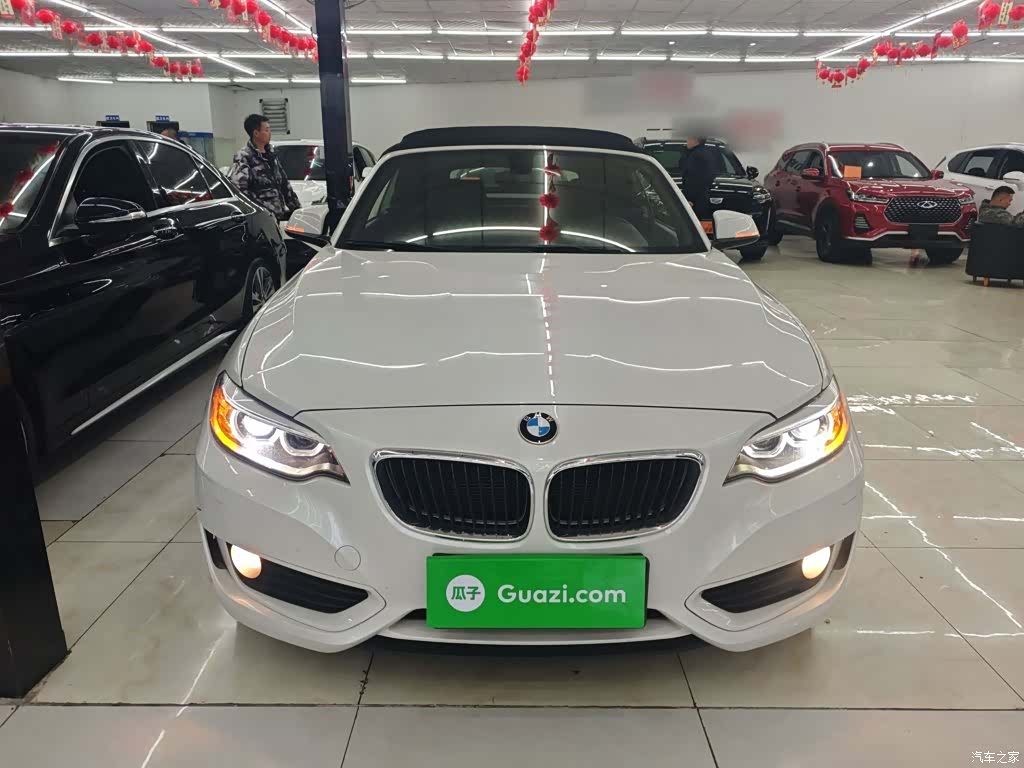 BMW 2 Series, 2016 3