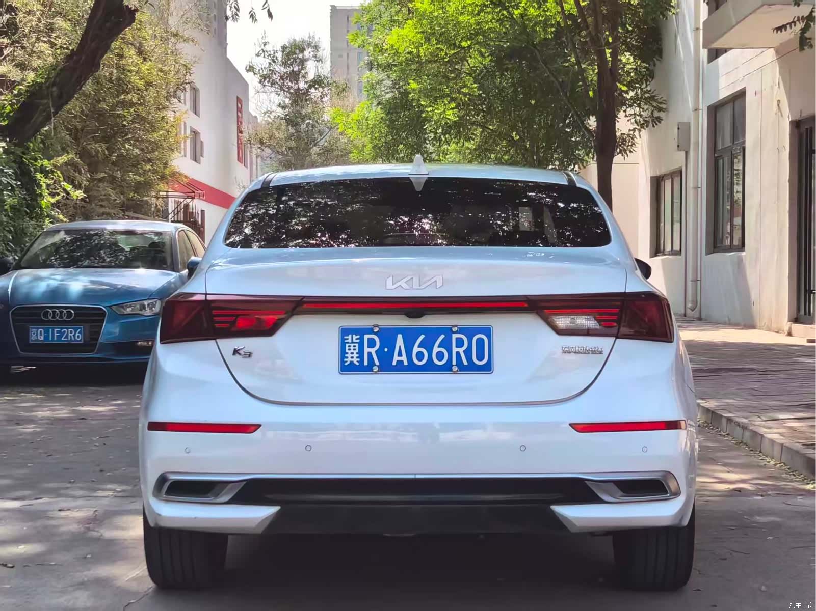Kia K3, 2022 все фото