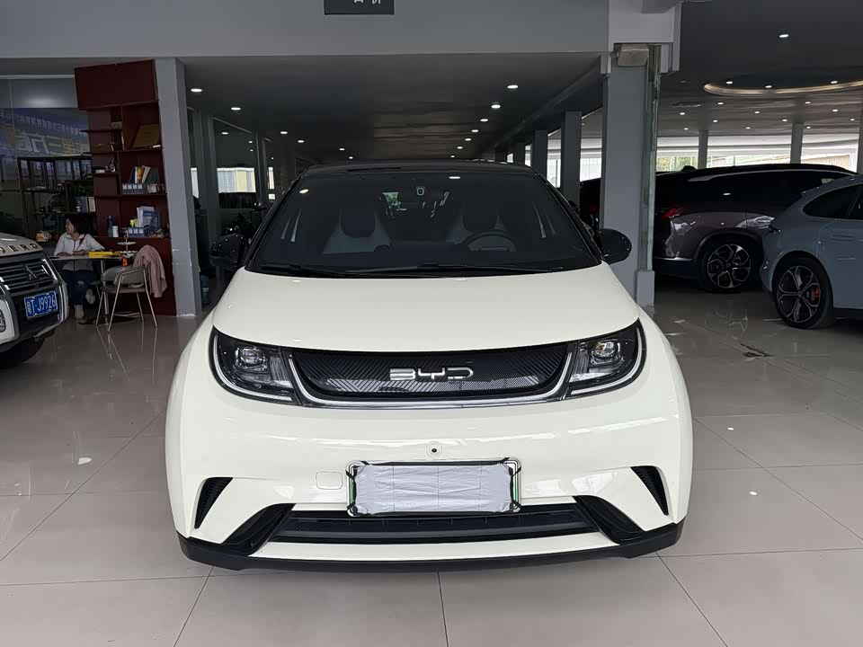 BYD dolphin
