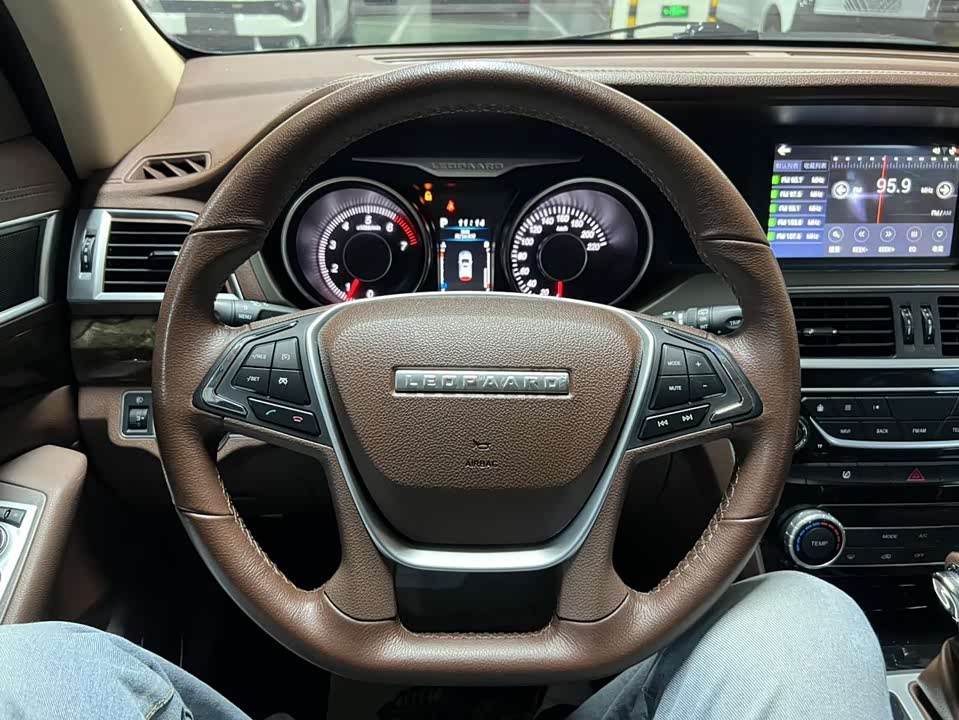 Leopaard Cheetah CS10