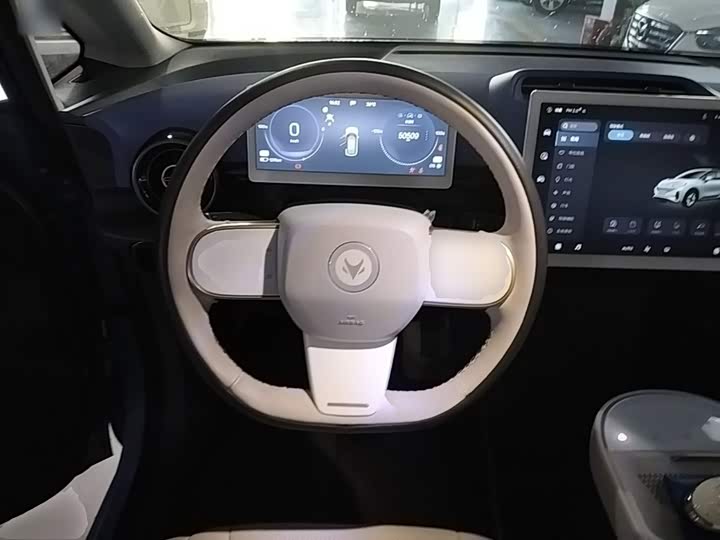 ARCFOX ji hu kao la 2023 qin zi ban Pro