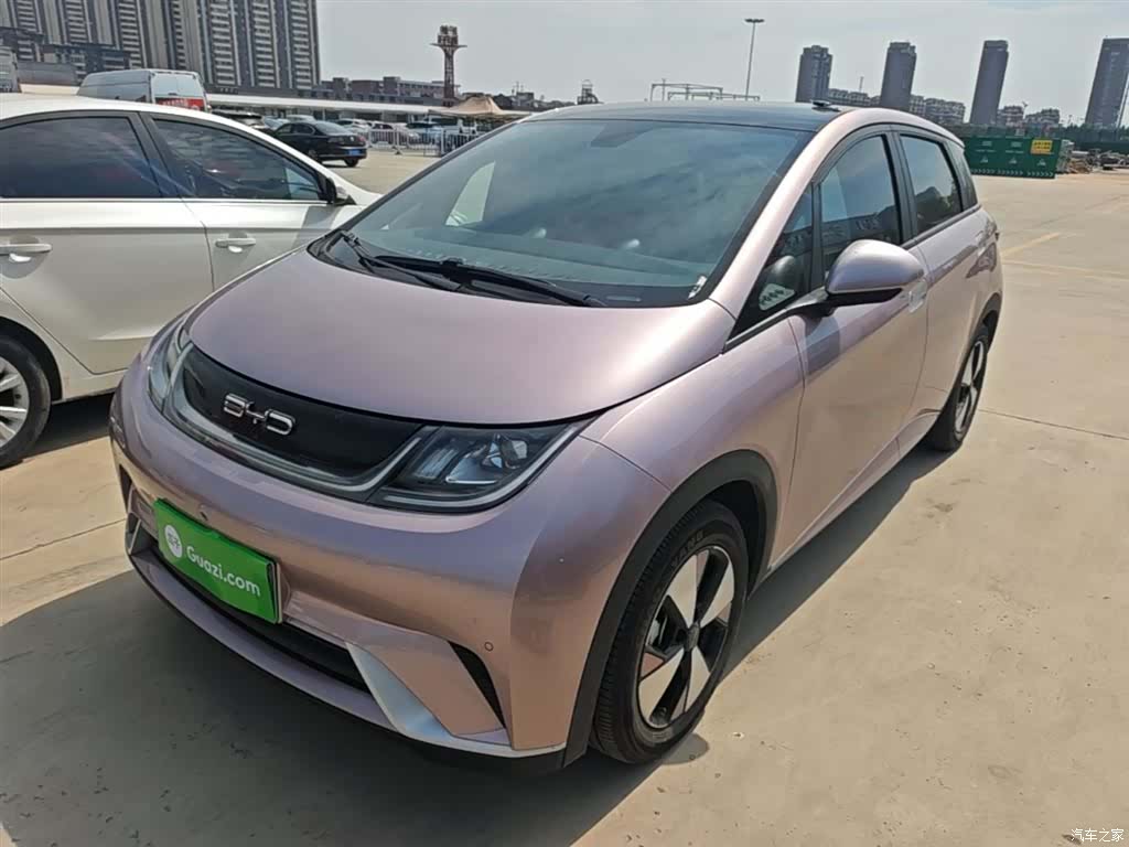 BYD Dolphin, 2023 2