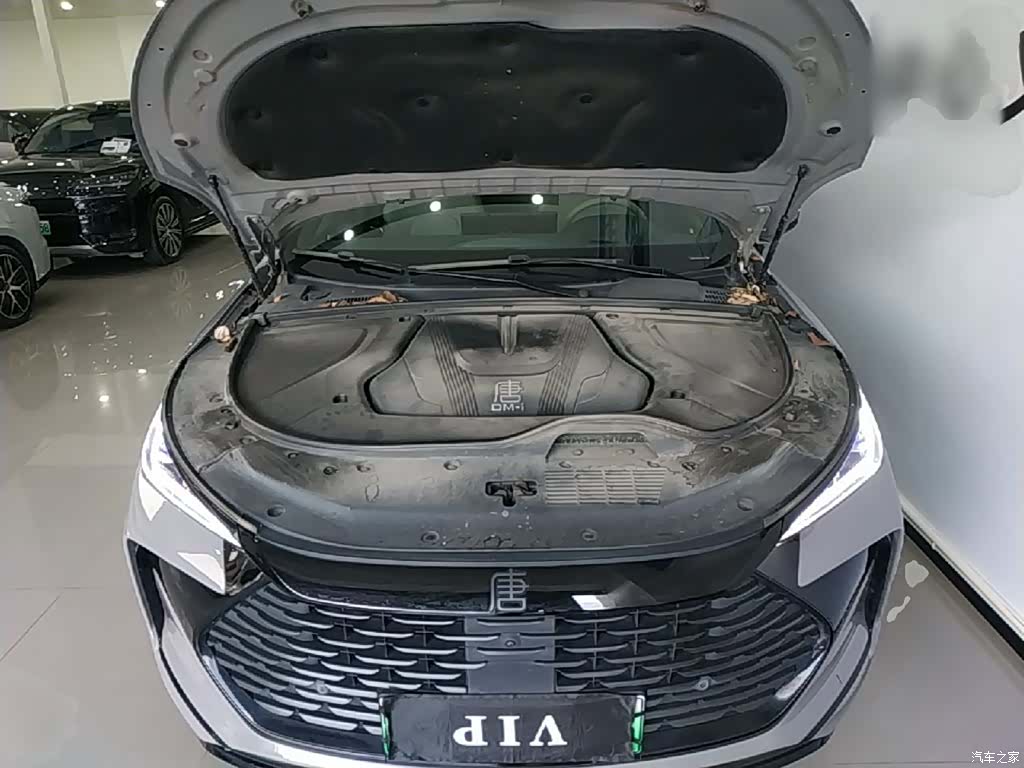 BYD Tang, 2024 20