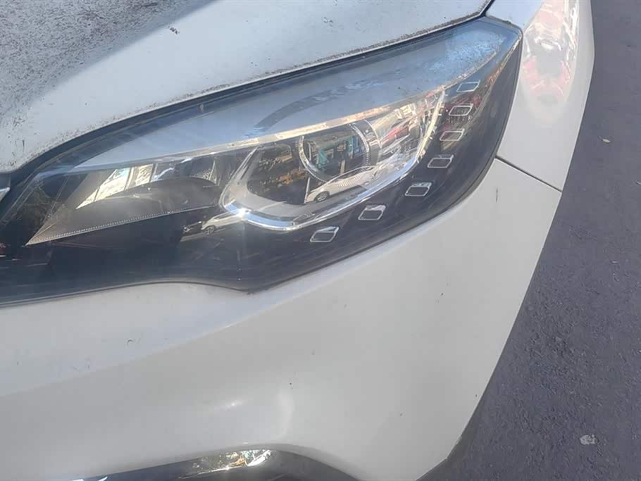 Leopaard Cheetah CS10