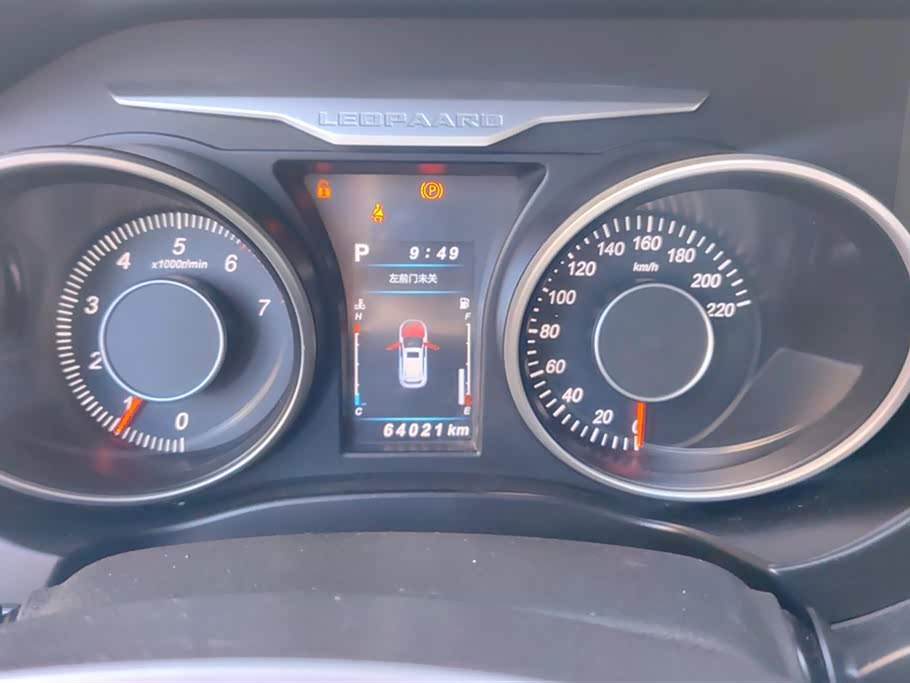 Leopaard Cheetah CS10