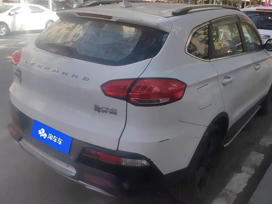 Leopaard Cheetah CS10