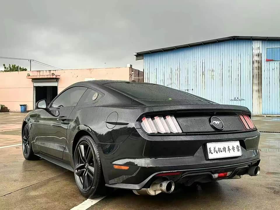 Ford Mustang Ford Mustang