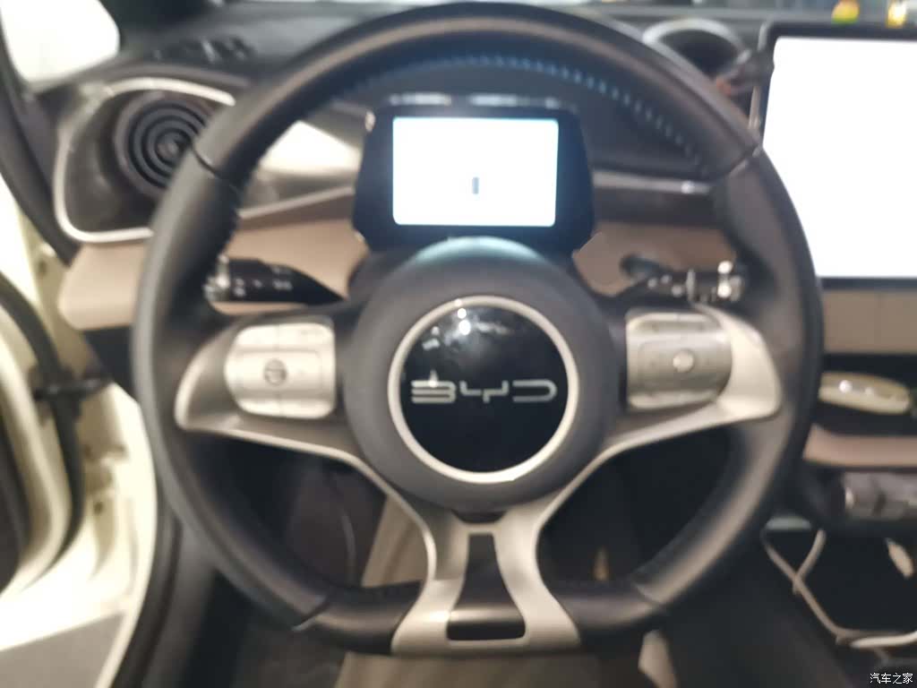 BYD Dolphin, 2023 7