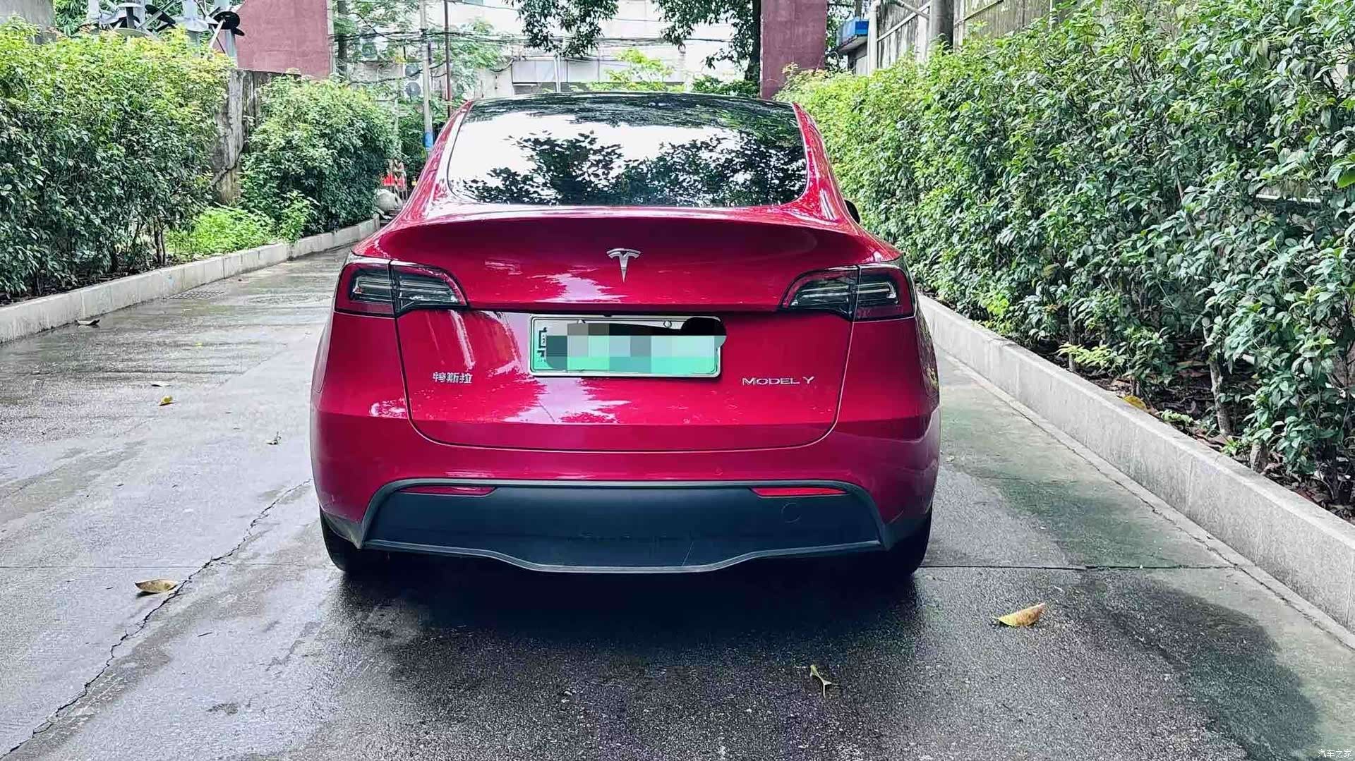 Tesla Model Y, 2021 все фото