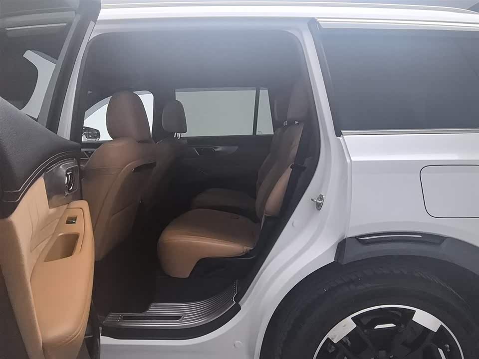 Trumpchi Trumpchi ES9