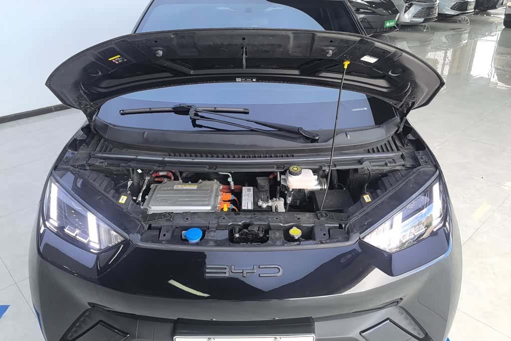 BYD Seagull, 2024 10