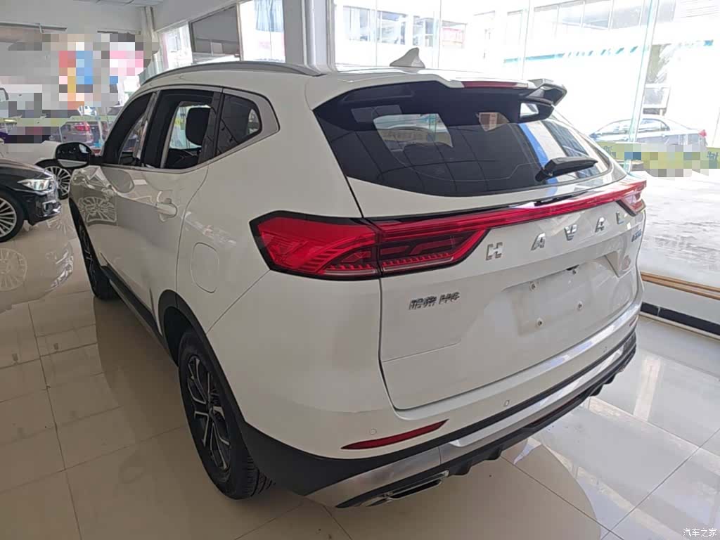 Haval H6, 2024 все фото