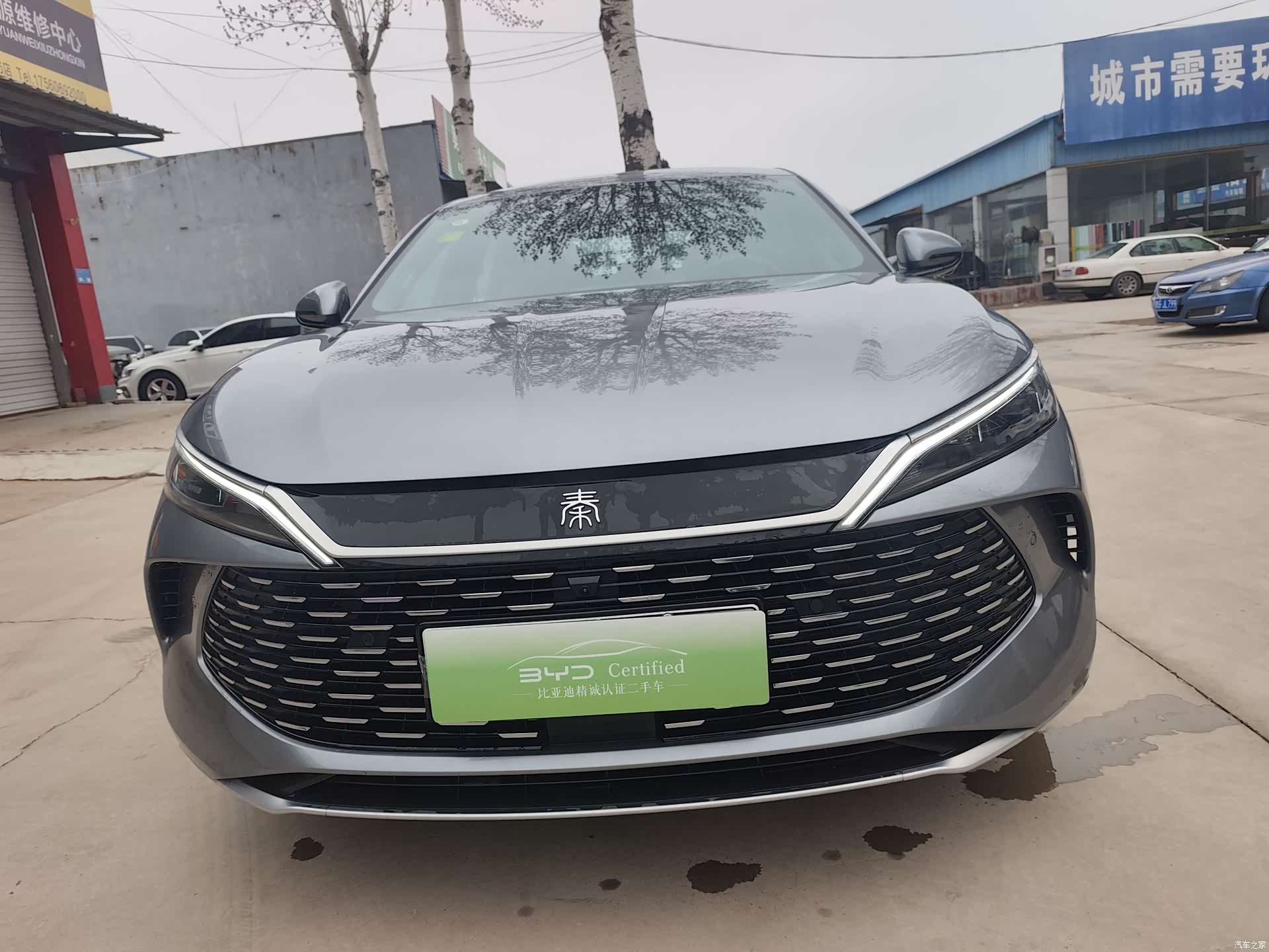 BYD Qin, 2025 2
