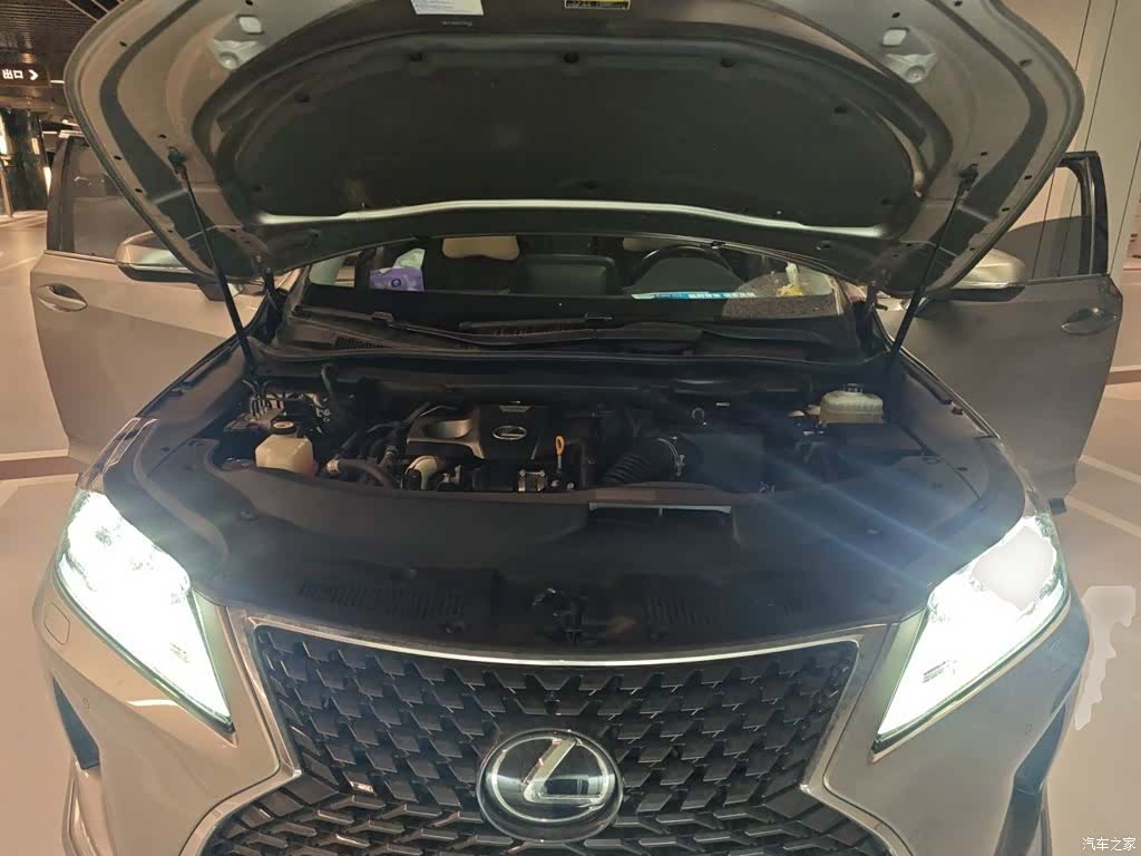 Lexus RX, 2019 16