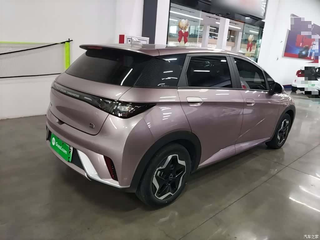 BYD Dolphin, 2023 все фото