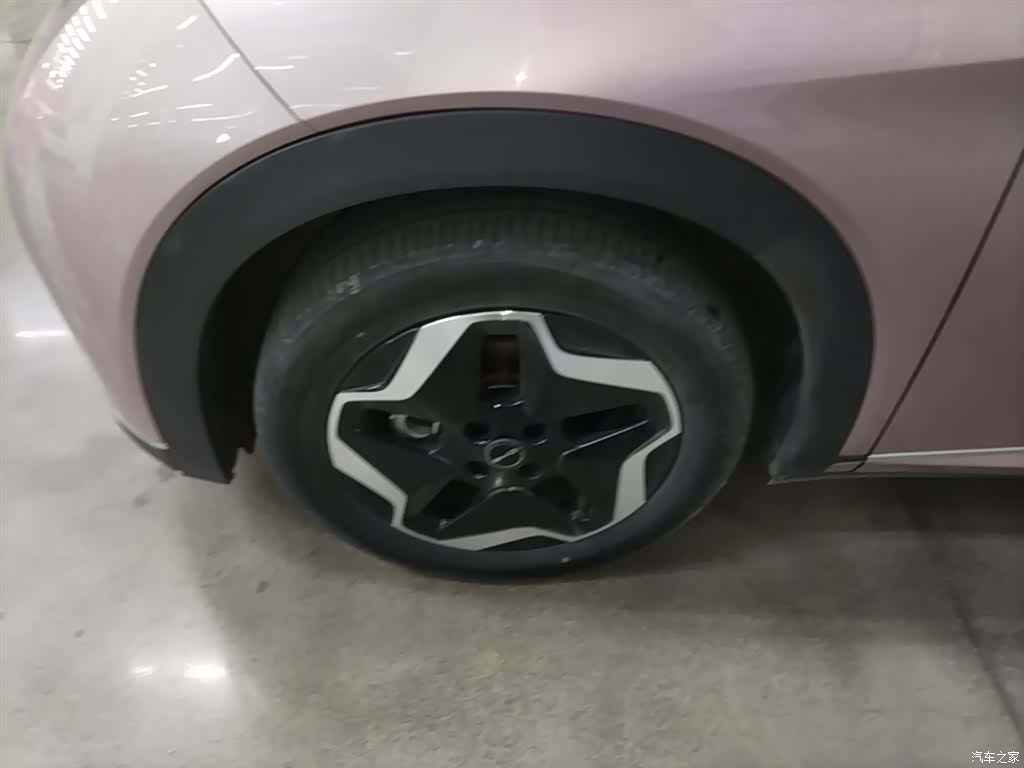 BYD Dolphin, 2023 25