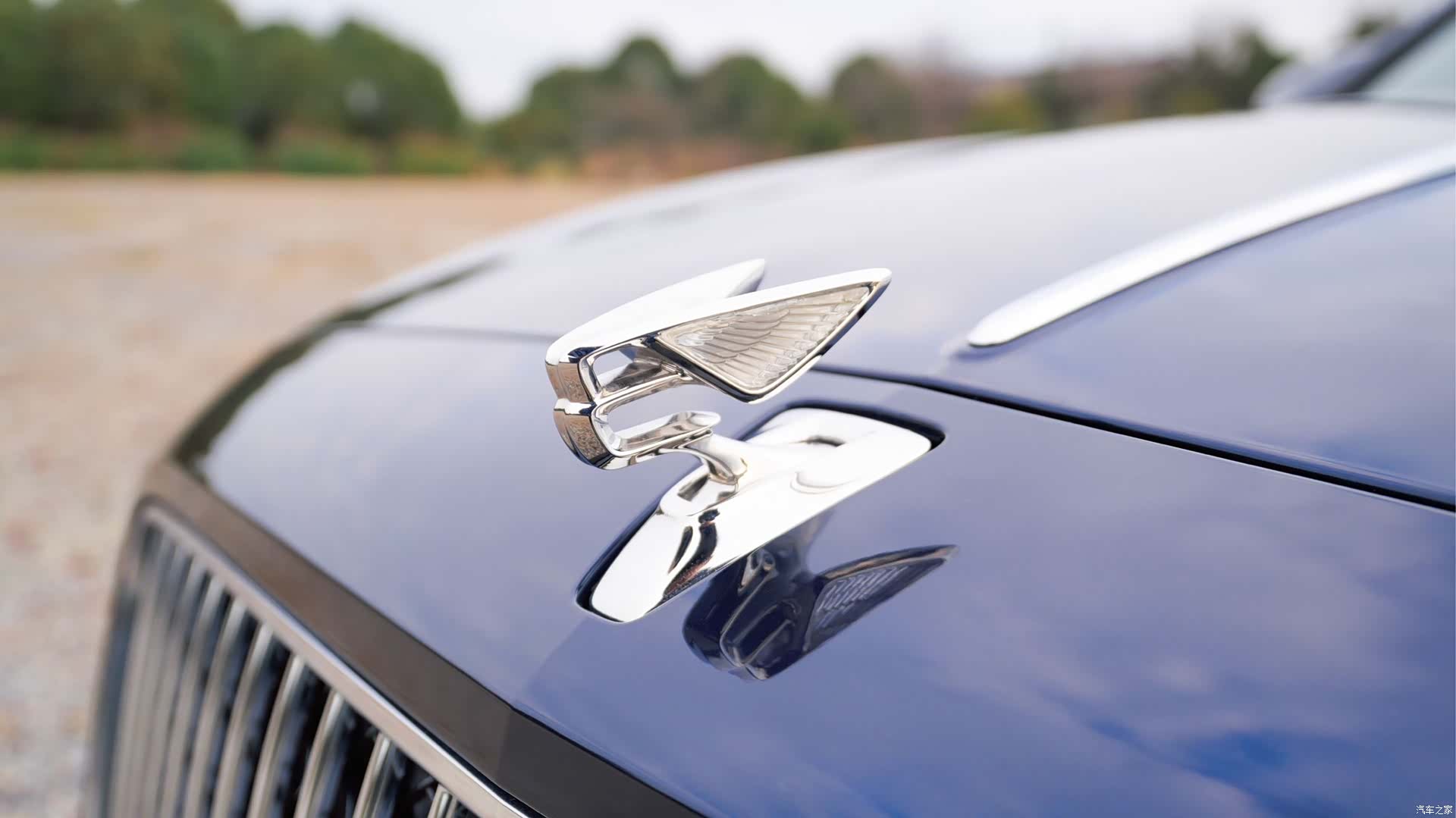 Bentley Flying Spur, 2024 все фото