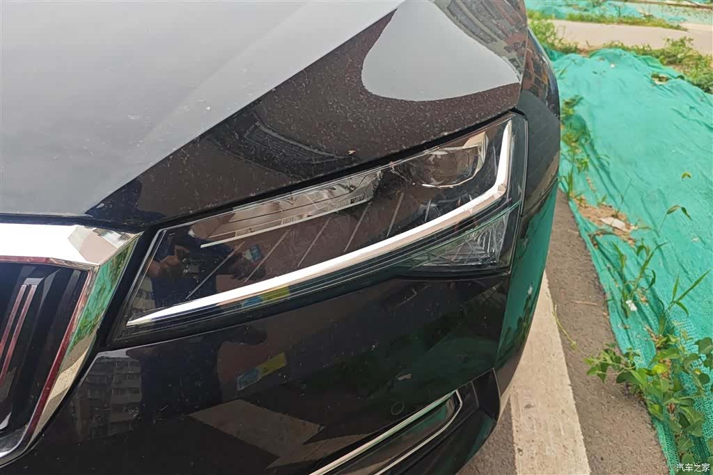 Skoda Superb, 2024 все фото