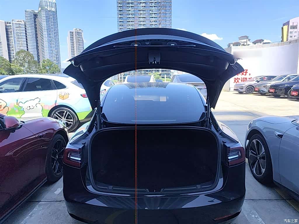 Tesla Model 3, 2021 19