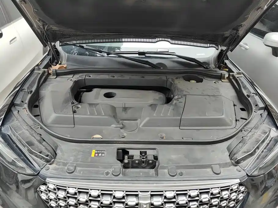 Weipai VV6