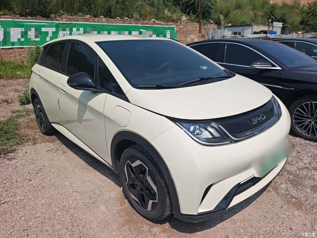 BYD Dolphin, 2024 4